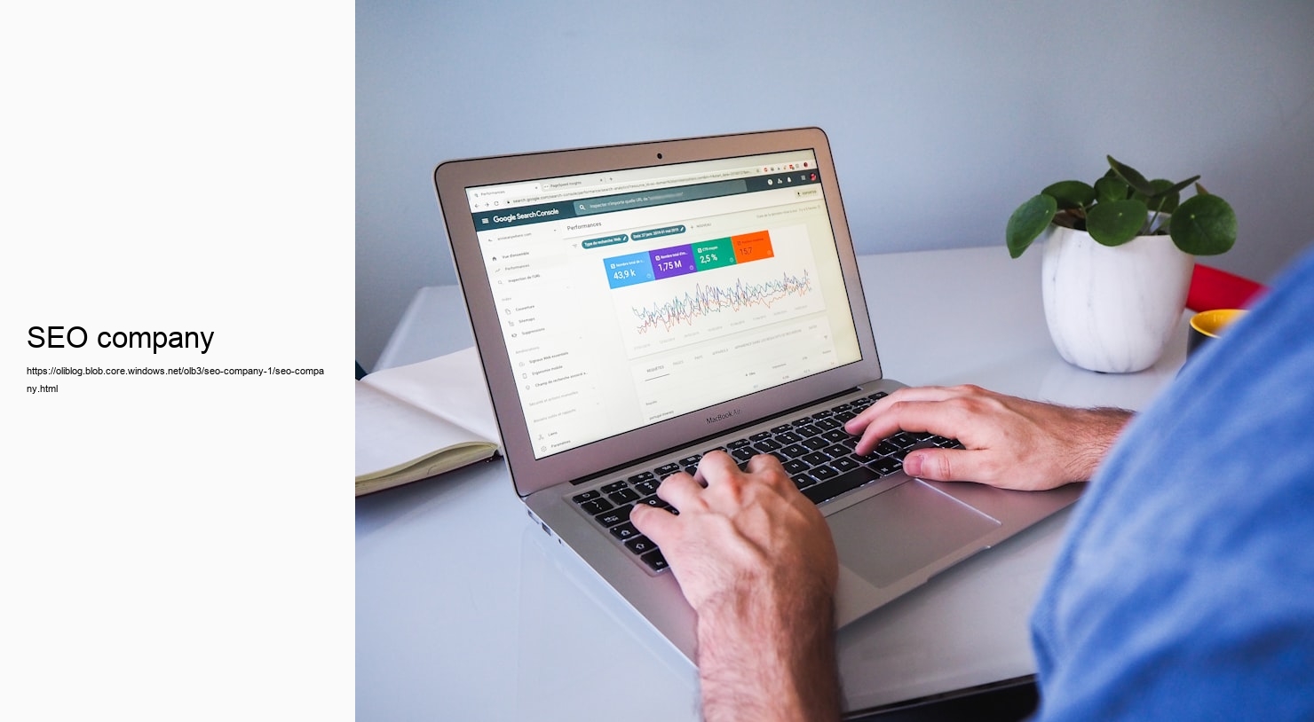 SEO company