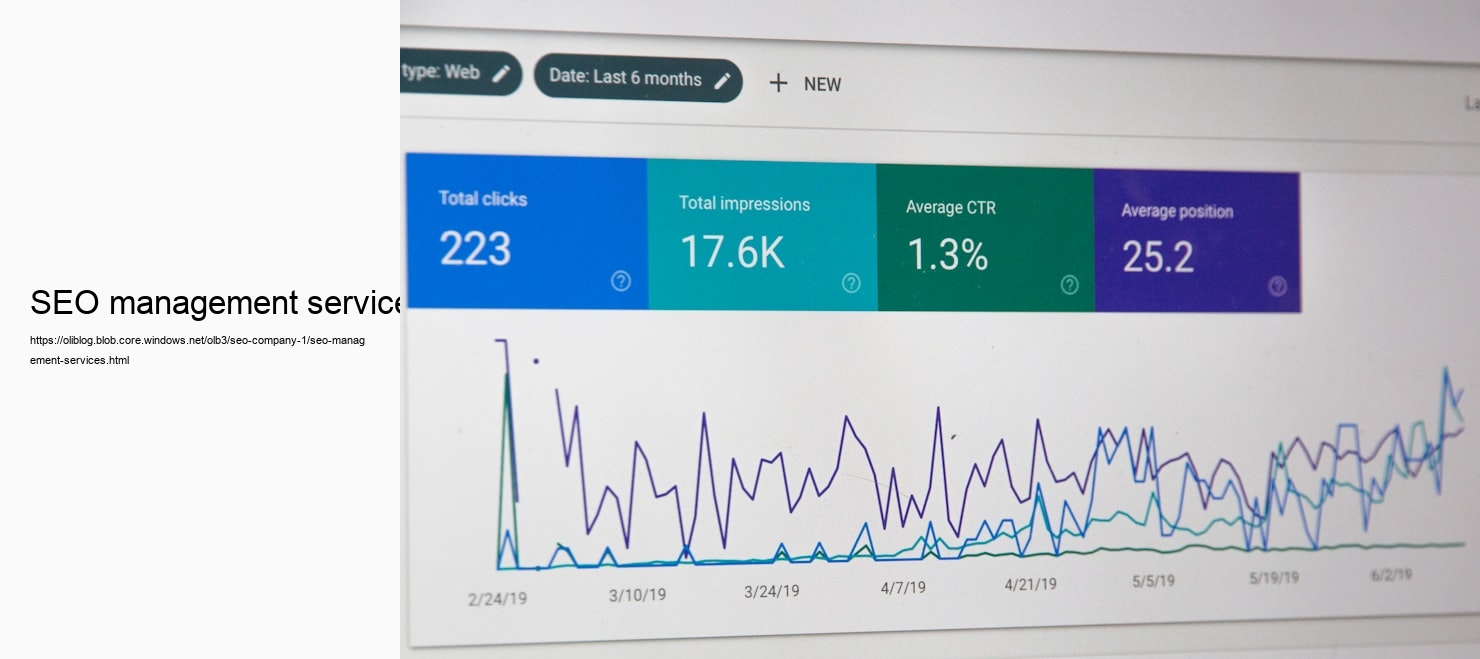 SEO management services
