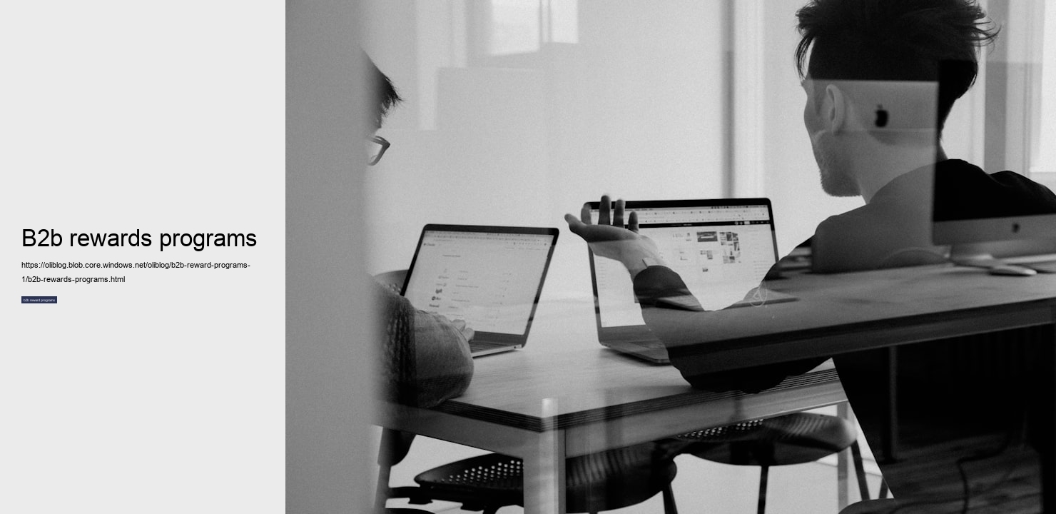 b2b rewards programs