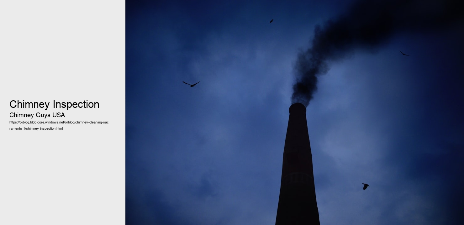 Chimney Inspection