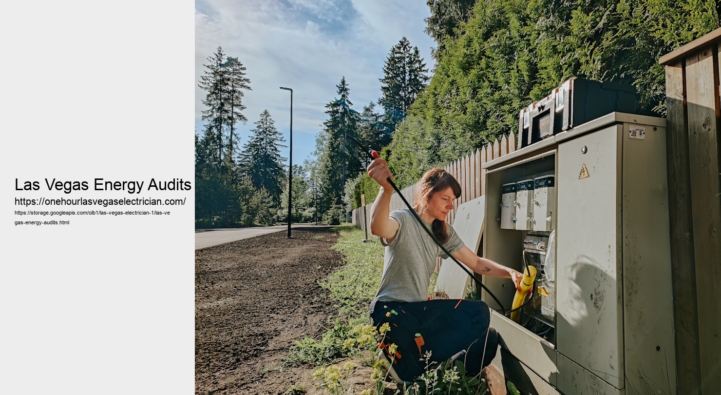Las Vegas Energy Audits