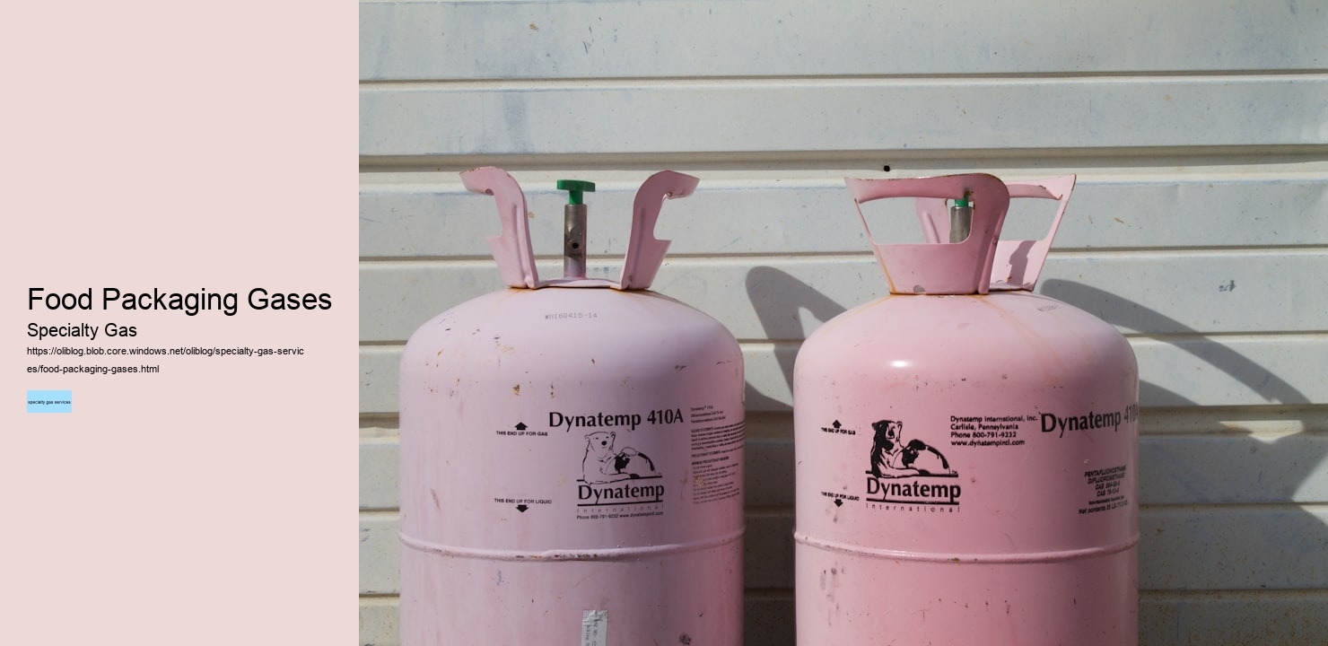 Food Packaging Gases