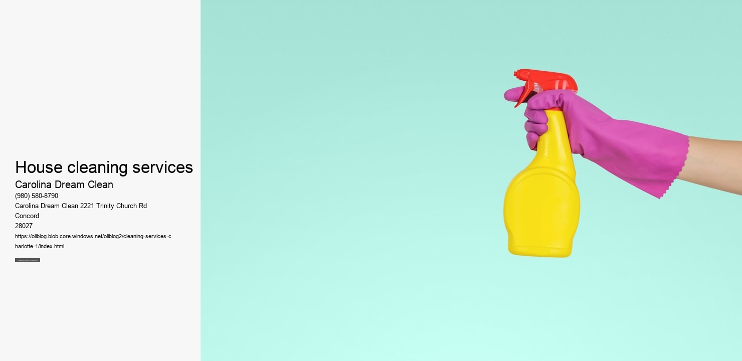 house cleaning services