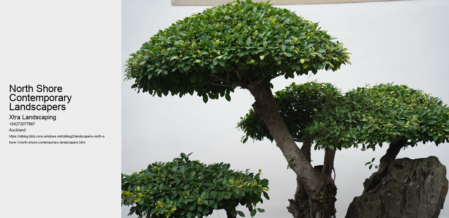 North Shore Contemporary Landscapers