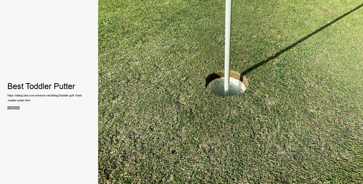 Best Toddler Putter