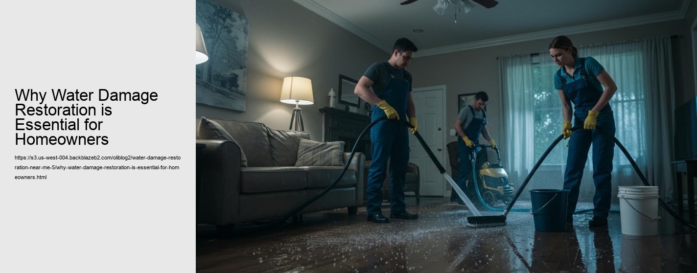 Why Water Damage Restoration is Essential for Homeowners